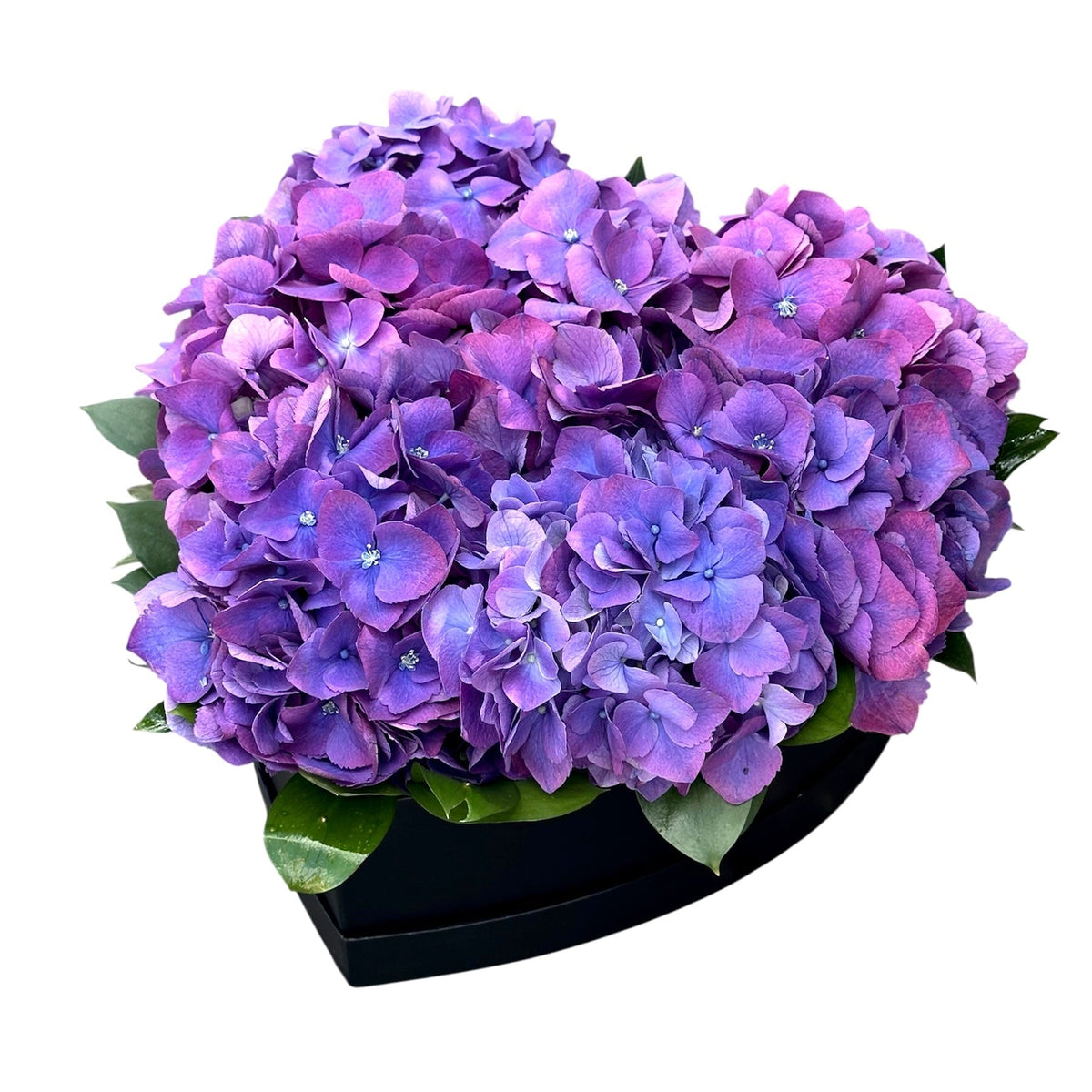 Classic Hydrangea with Ruscus Box - Fresh Bouquet Co.