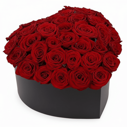 Classic Luxury Roses in a Box - Fresh Bouquet Co.