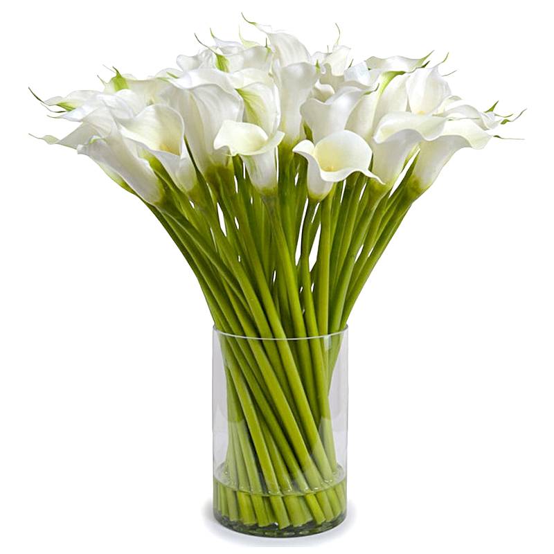 Classic White Calla Lily Bouquet in Vase - Fresh Bouquet Co.