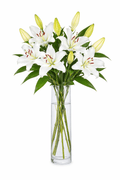 Classic White Lily Bouquet in Vase - Fresh Bouquet Co.