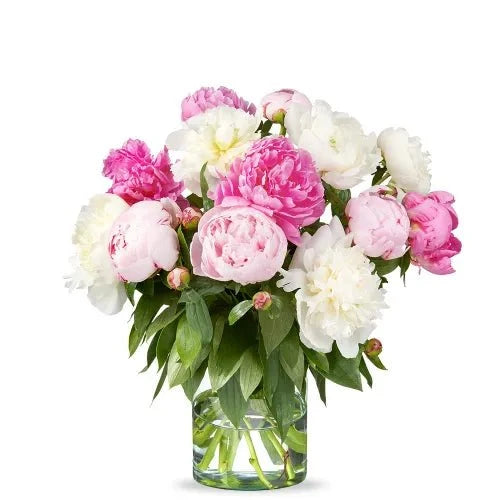 Colourful Peonies Bouquet in Vase - Fresh Bouquet Co.