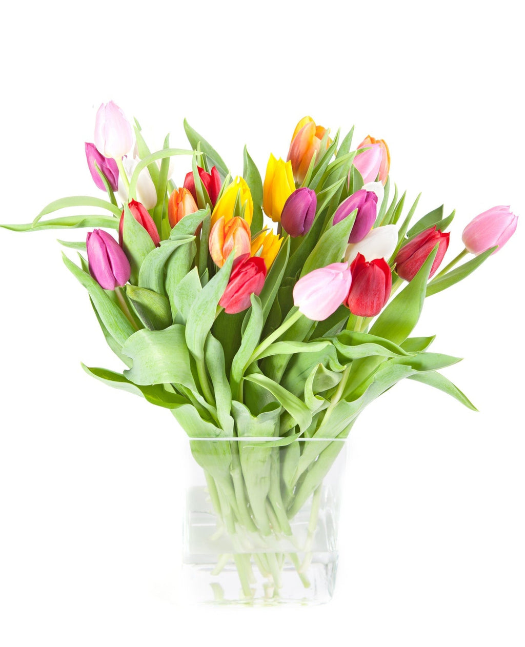 Colourful Tulips Bouquet in Vase - Fresh Bouquet Co.