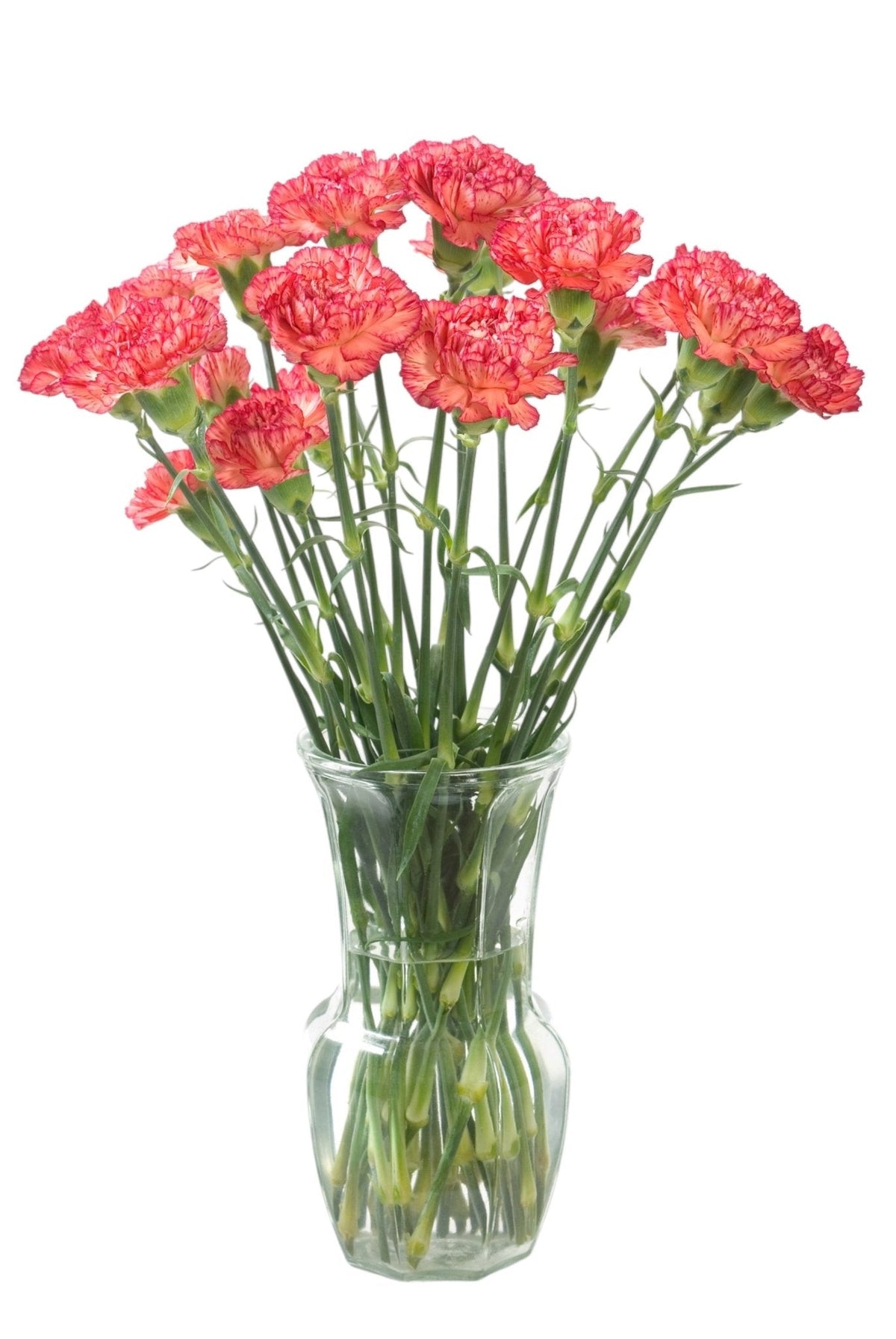 Coral Blush Carnation Bouquet in Vase - Fresh Bouquet Co.
