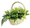 Cut Lily Of The Valley & Greenery in Basket - Fresh Bouquet Co.