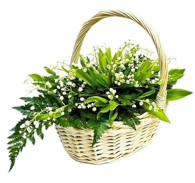 Cut Lily Of The Valley & Greenery in Basket - Fresh Bouquet Co.
