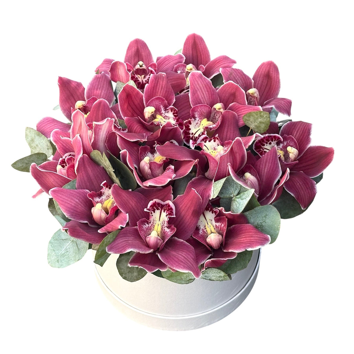 Cymbidium Orchids with Eucalyptus Flower Box - Fresh Bouquet Co.