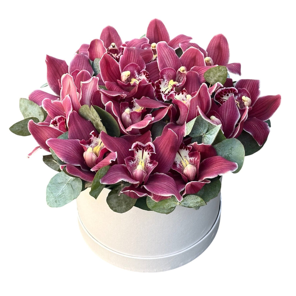 Cymbidium Orchids with Eucalyptus Flower Box - Fresh Bouquet Co.