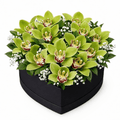 Cymbidium Orchids with Gypsophila and Ruscus - Fresh Bouquet Co.