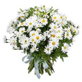 Daisy Bouquet - Fresh Bouquet Co.