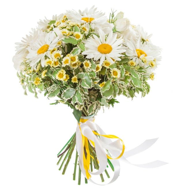 Daisy & Chrysanthemum Santini With Pittosporum Bouquet - Fresh Bouquet Co.