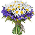 Daisy & Iris Flowers Bouquet - Fresh Bouquet Co.