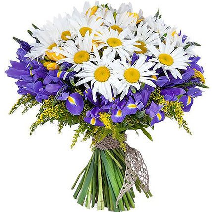 Daisy & Iris Flowers Bouquet - Fresh Bouquet Co.