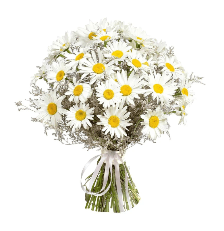 Daisy & Limonium Bouquet - Fresh Bouquet Co.
