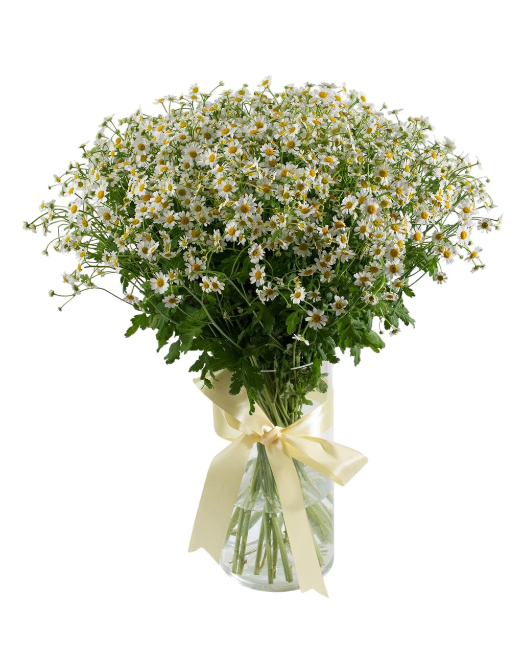 Daisy Tanacetum Flowers Bouquet in Vase - Fresh Bouquet Co.