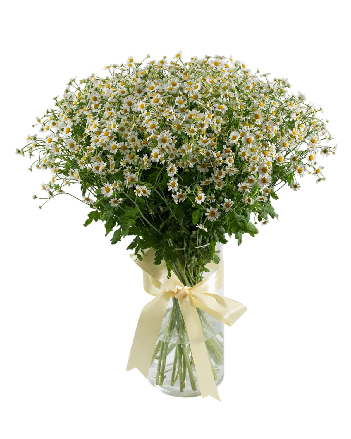 Daisy Tanacetum Flowers Bouquet in Vase - Fresh Bouquet Co.