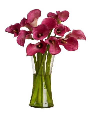 Dark Pink Calla Lily Bouquet in Vase - Fresh Bouquet Co.