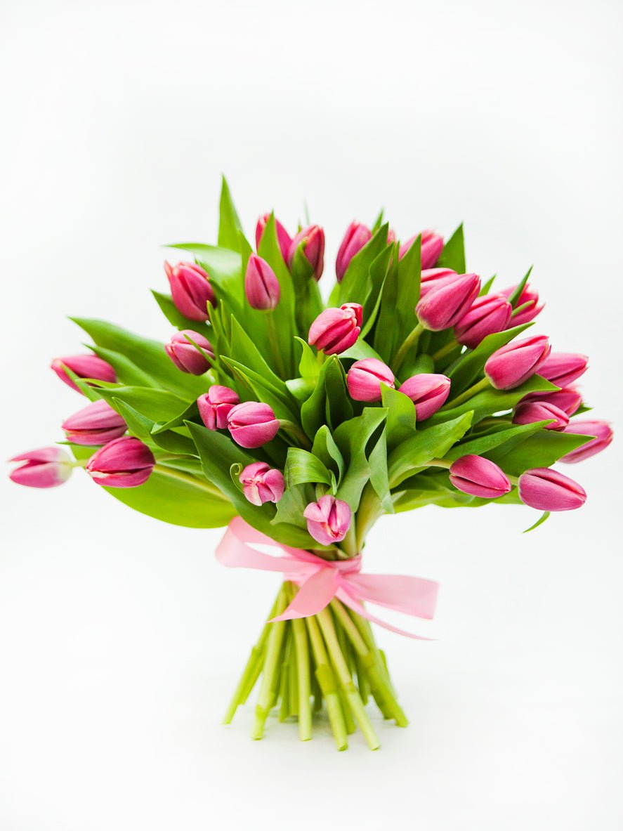 Dark Pink Tulips Bouquet - Fresh Bouquet Co.