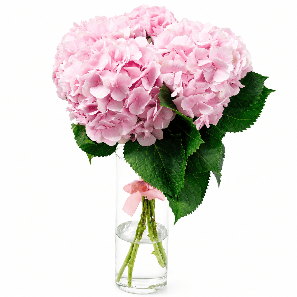 Light Pink Hydrangea Bouquet in Vase - Fresh Bouquet Co.