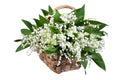 Lily Of The Valley in Square Basket - Fresh Bouquet Co.