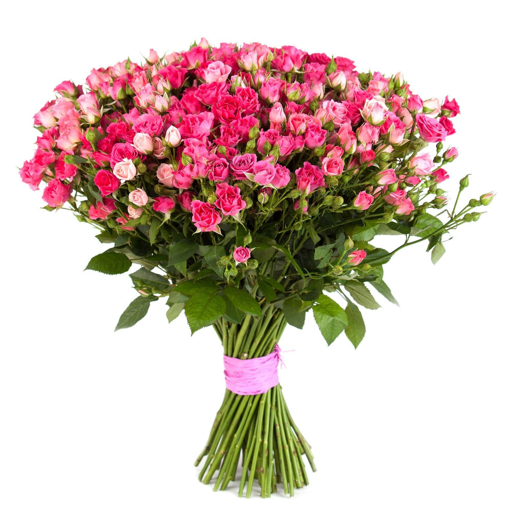 Mix Pink Spray Roses Bouquet - Fresh Bouquet Co.