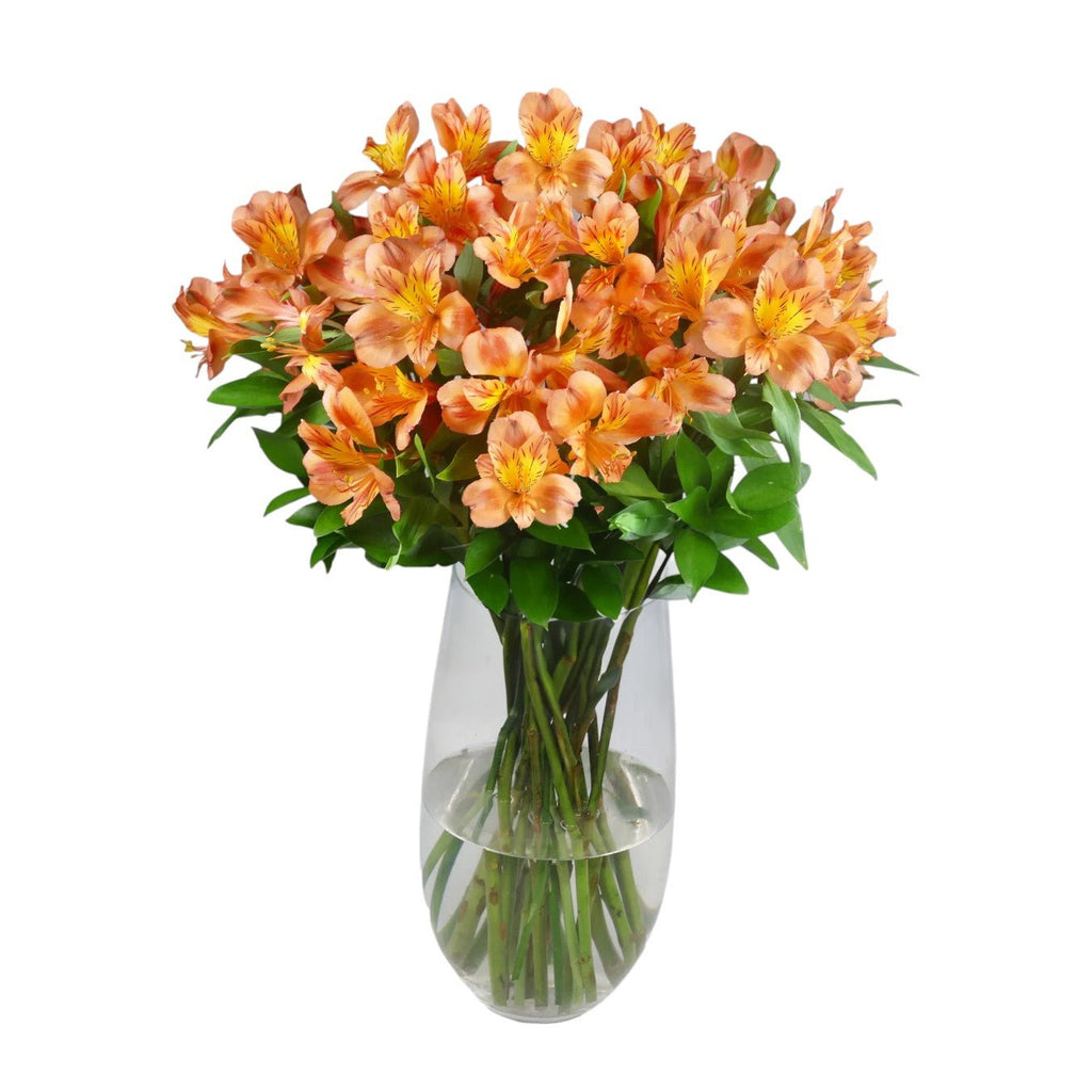 Orange Alstroemeria & Ruscus Bouquet in Vase - Fresh Bouquet Co.