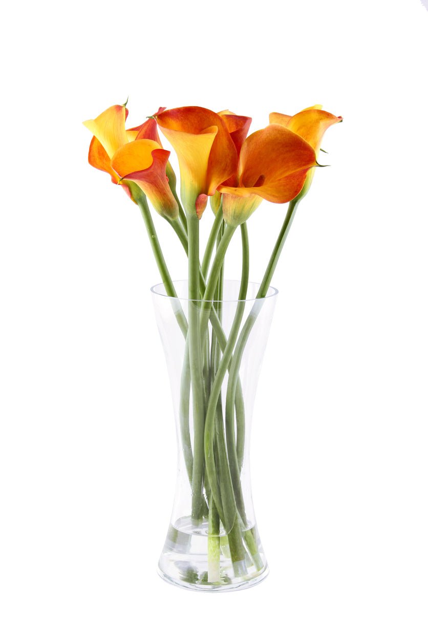 Orange Calla Lily Bouquet in Vase - Fresh Bouquet Co.
