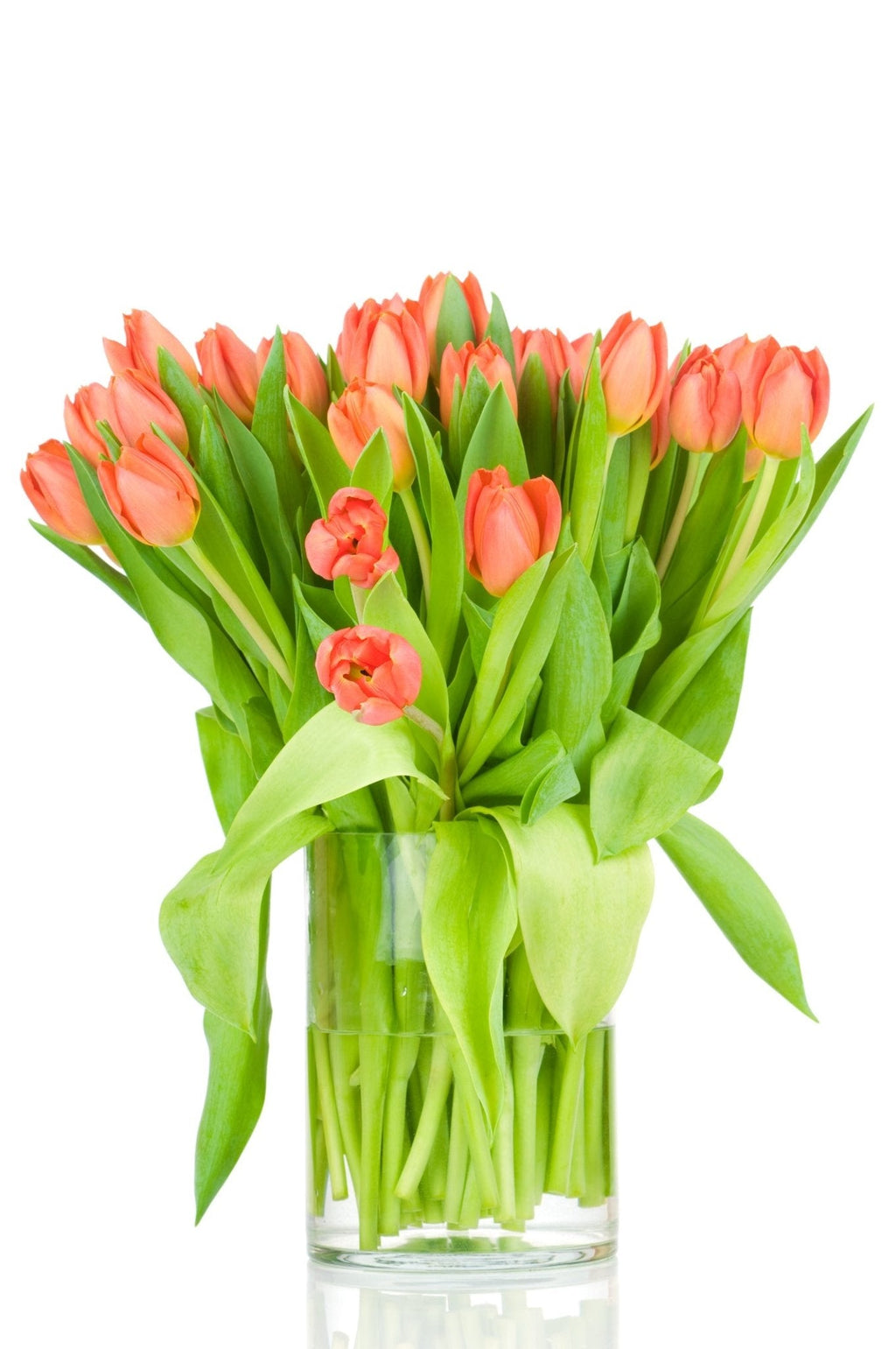 Orange Tulips Bouquet in Vase - Fresh Bouquet Co.