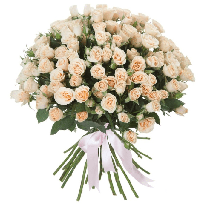 Pale Peach Spray Roses Bouquet - Fresh Bouquet Co.