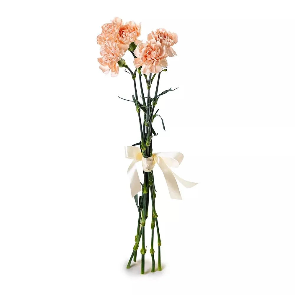 Peach Carnation Bouquet - Fresh Bouquet Co.