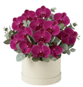 Phalaenopsis Orchids with Eucalyptus Flower Box - Fresh Bouquet Co.