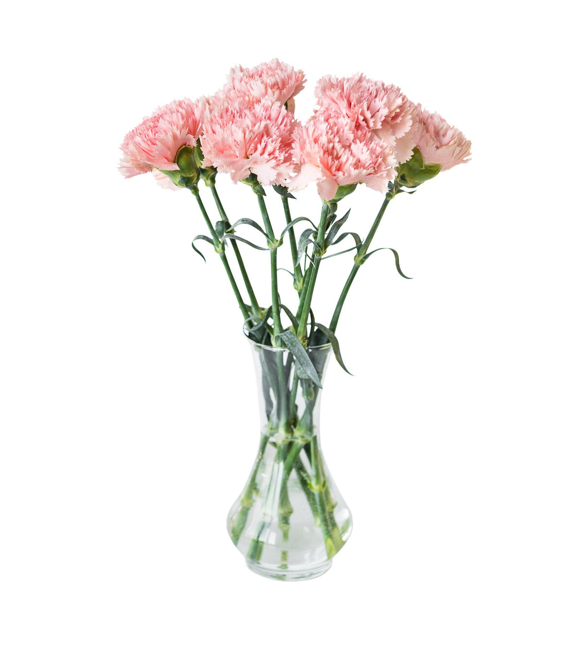 Pink Carnation Bouquet - Fresh Bouquet Co.