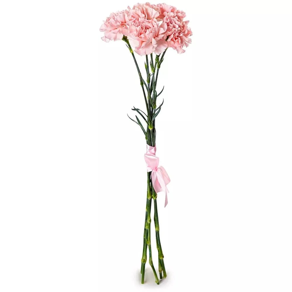 Pink Carnation Bouquet - Fresh Bouquet Co.