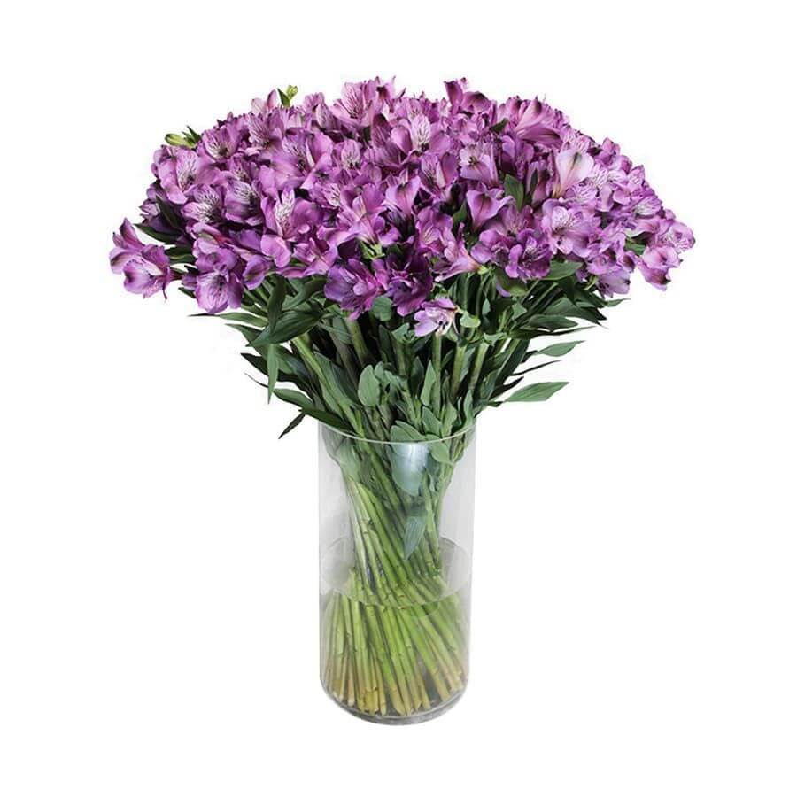 Purple Alstroemeria Bouquet in Vase - Fresh Bouquet Co.