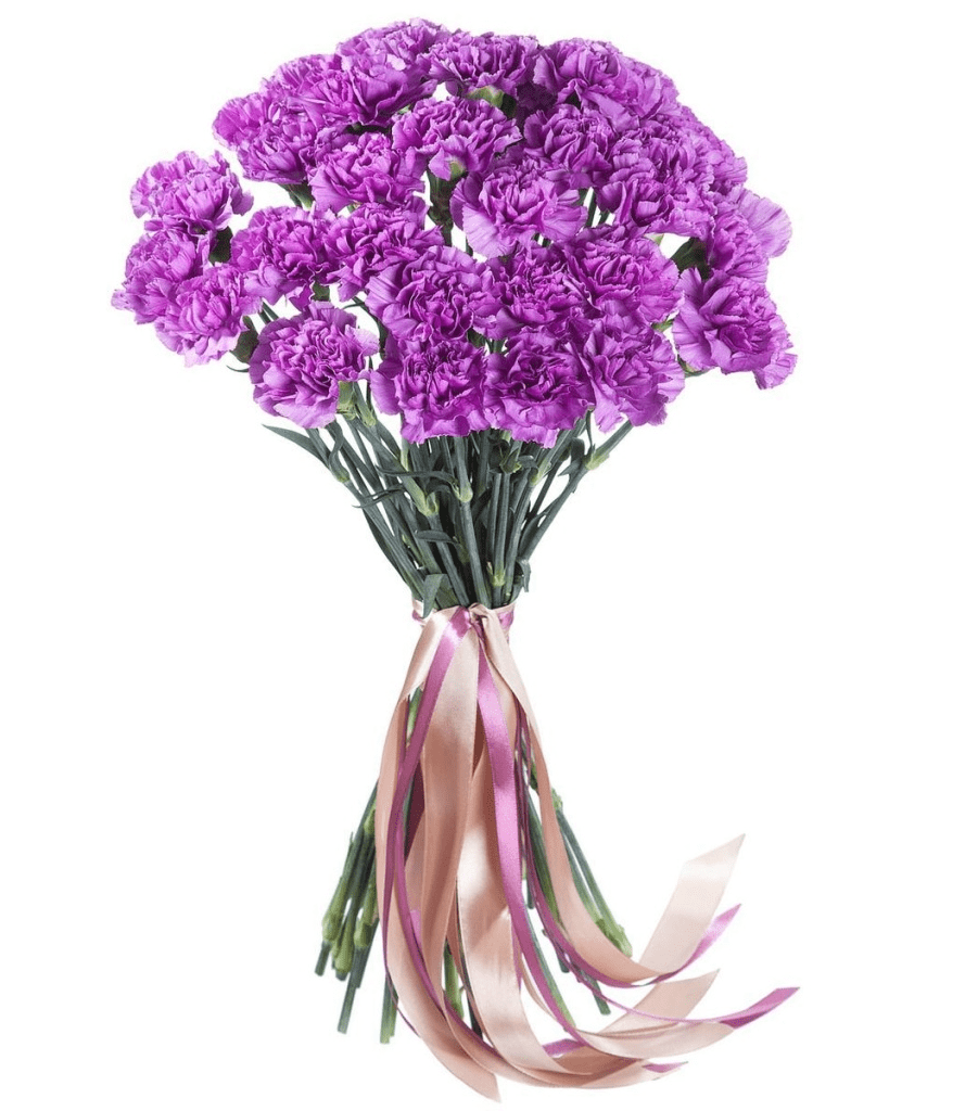 Purple Carnation Bouquet - Fresh Bouquet Co.