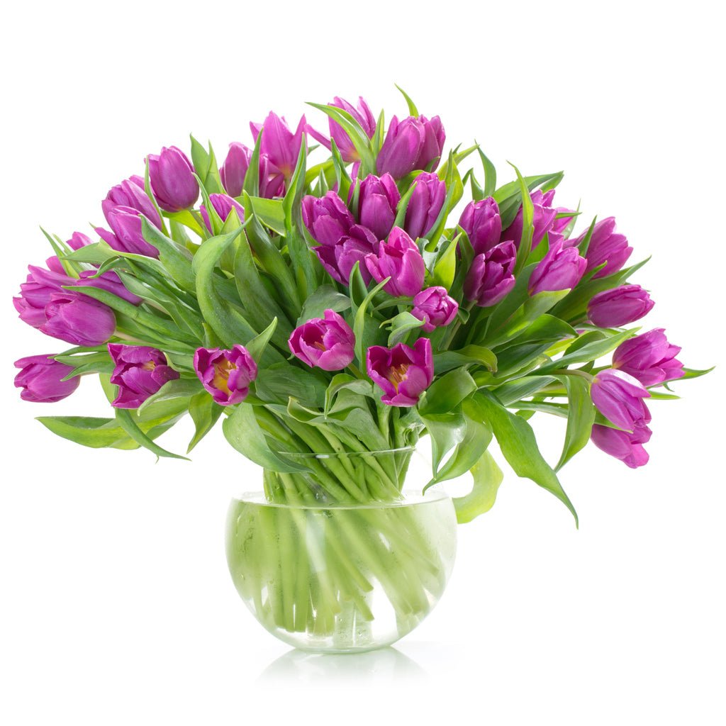 Purple Tulips Bouquet in Fishbowl Vase - Fresh Bouquet Co.