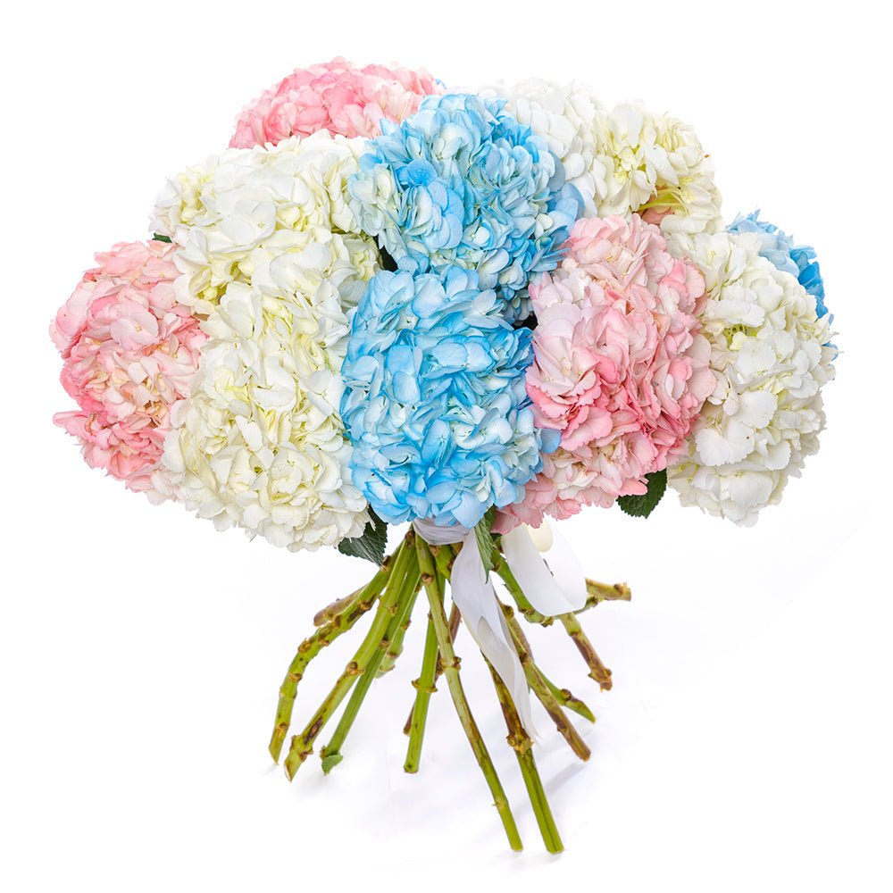 Rainbow Hydrangea Bouquet - Fresh Bouquet Co.