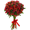 Red Alstroemeria Bouquet - Fresh Bouquet Co.