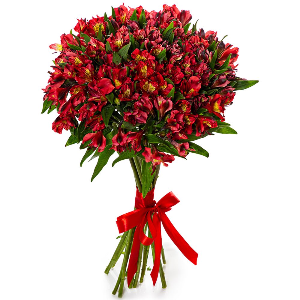 Red Alstroemeria Bouquet - Fresh Bouquet Co.