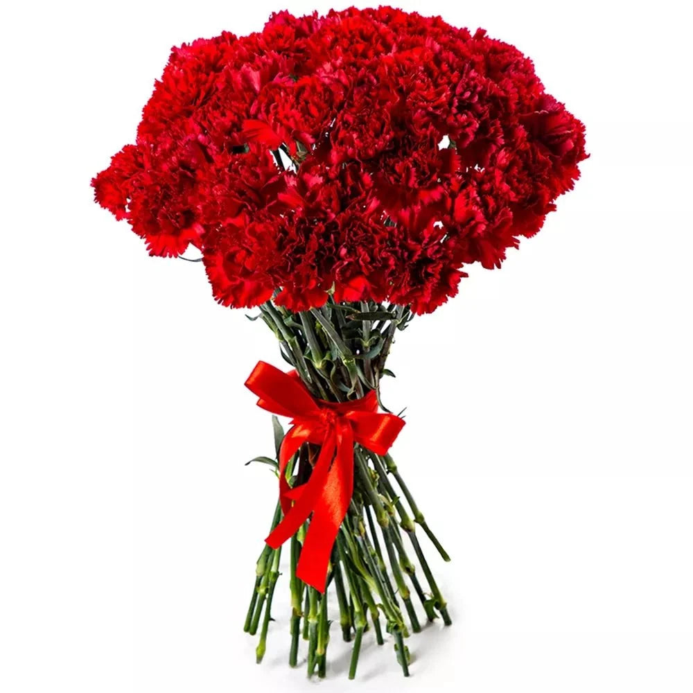 Red Carnation Bouquet - Fresh Bouquet Co.