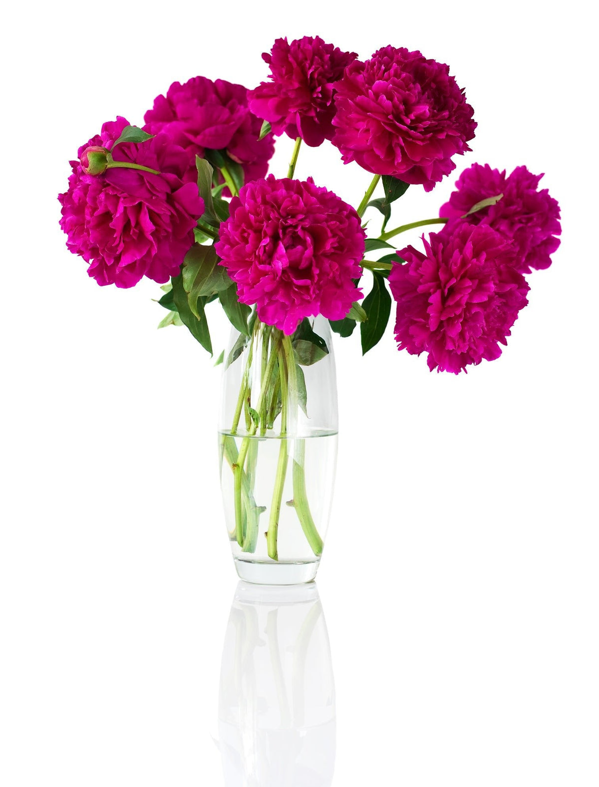 Red Peonies Bouquet in Vase - Fresh Bouquet Co.