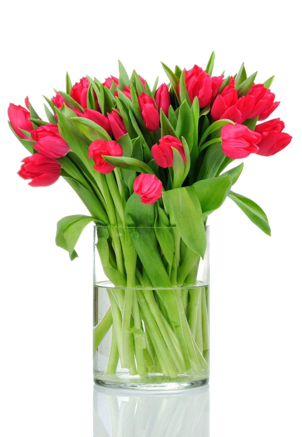 Red Tulips Bouquet in Vase - Fresh Bouquet Co.