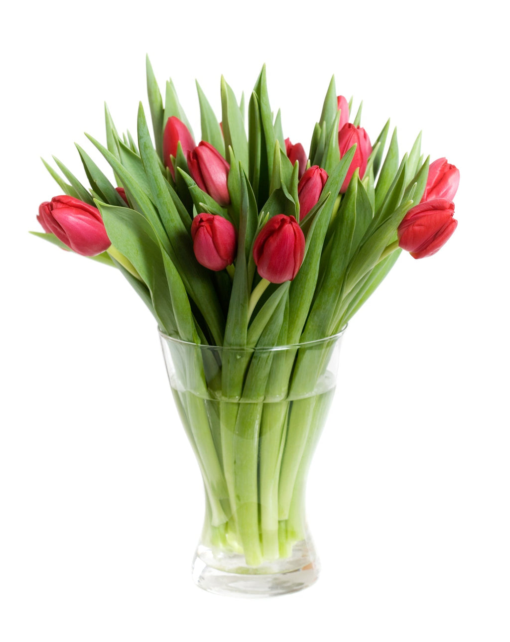 Red Tulips Bouquet in Vase - Fresh Bouquet Co.