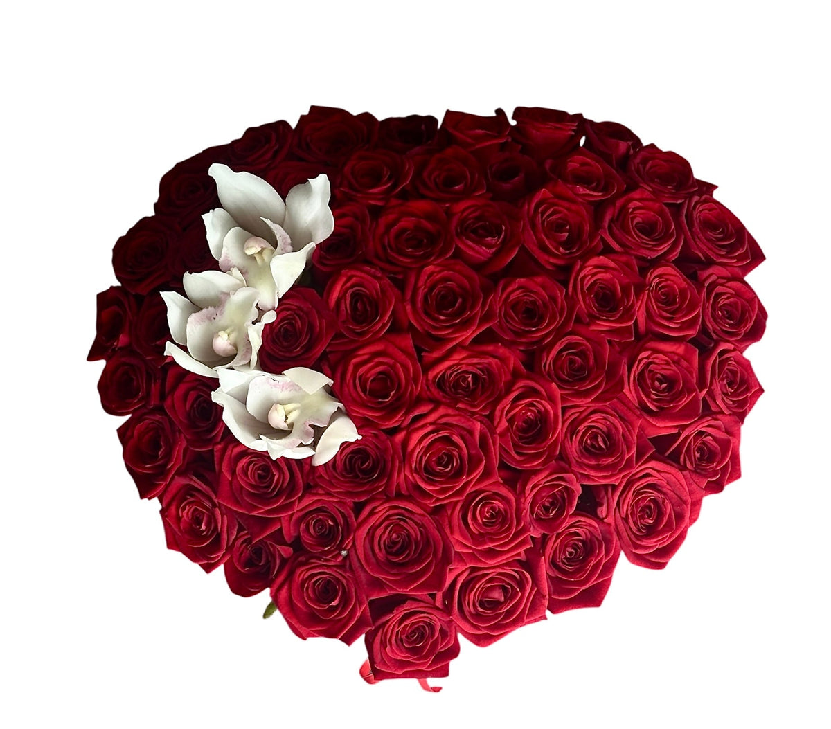 Roses in a Box with Cymbidium Accent - Fresh Bouquet Co.