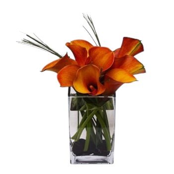 Short Orange Calla Lily Bouquet in Vase - Fresh Bouquet Co.