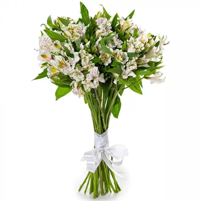 White Alstroemeria Bouquet - Fresh Bouquet Co.