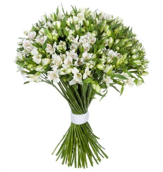 White Alstroemeria Bouquet - Fresh Bouquet Co.