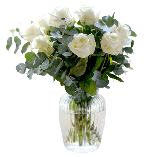 White Avalanche Roses & Eucalyptus Bouquet in Vase - Fresh Bouquet Co.