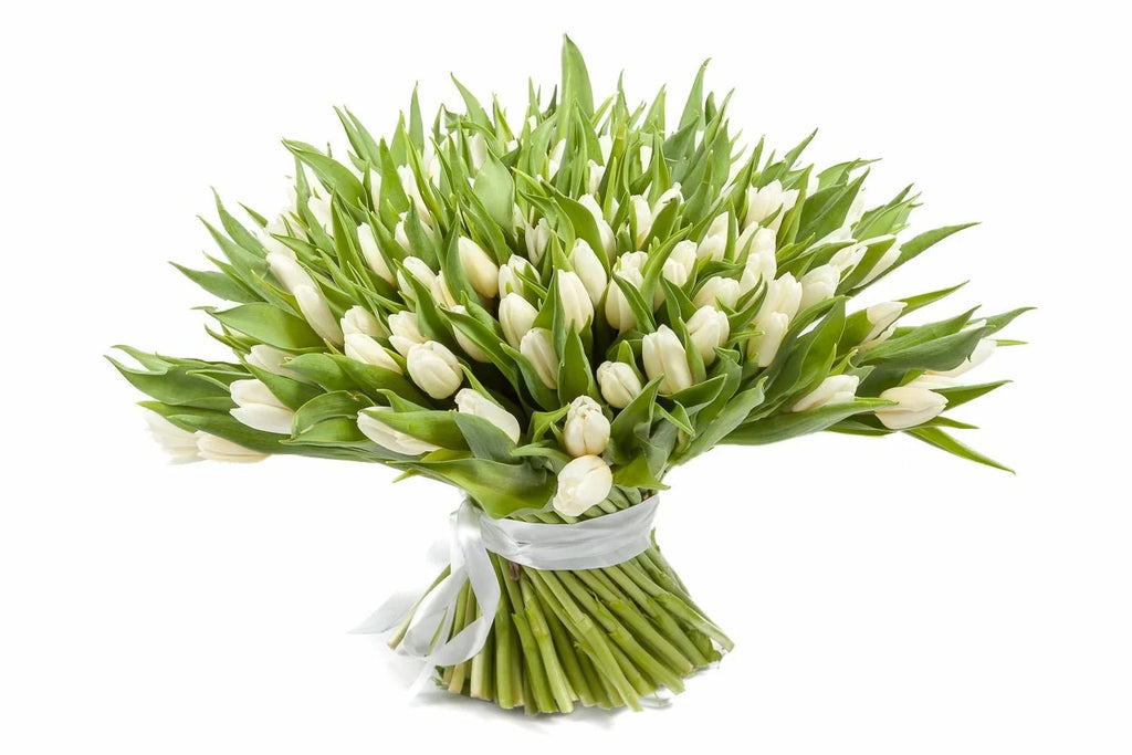 White Tulips Bouquet - Fresh Bouquet Co.