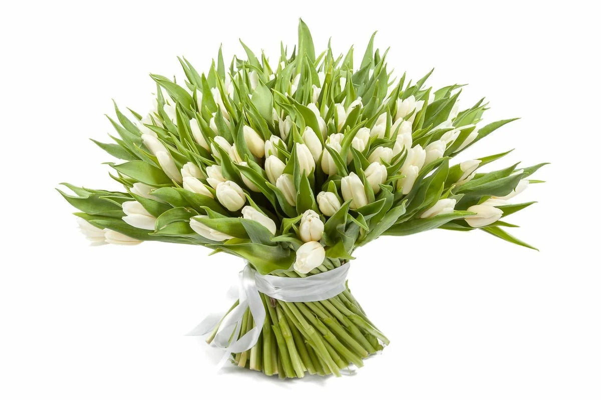 White Tulips Bouquet - Fresh Bouquet Co.