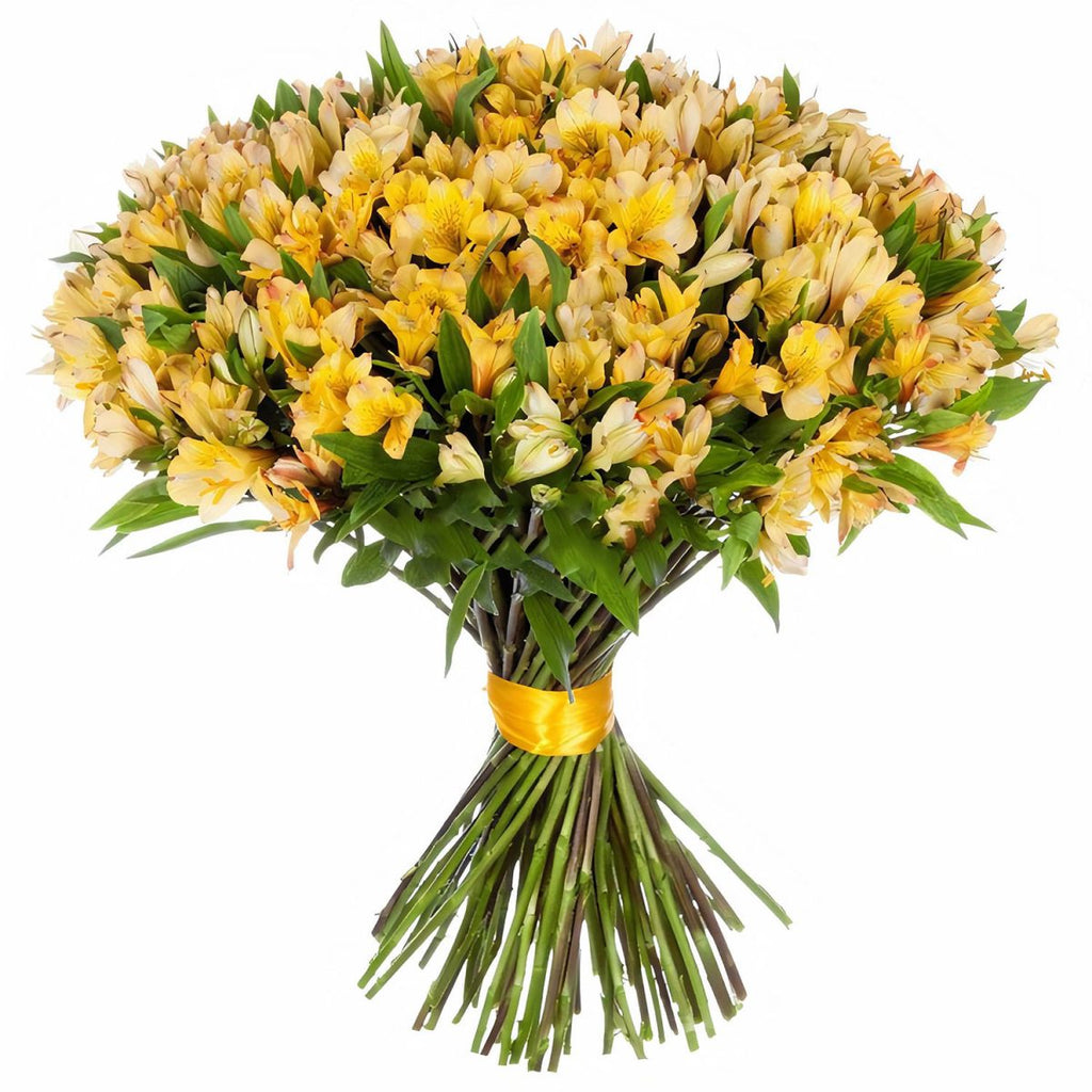 Yellow Alstroemeria Bouquet - Fresh Bouquet Co.